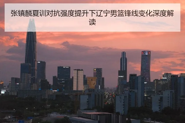 张镇麟夏训对抗强度提升下辽宁男篮锋线变化深度解读