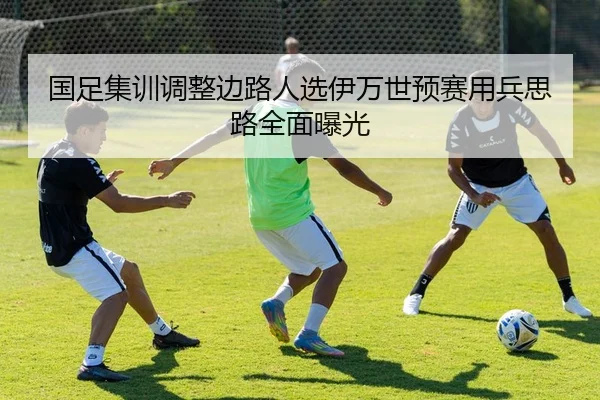 国足集训调整边路人选伊万世预赛用兵思路全面曝光